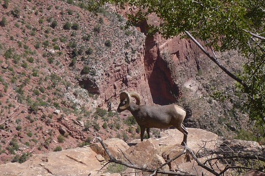 Tour image 5