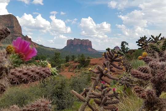 Tour image 5