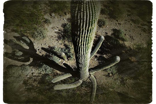 Tour image 4