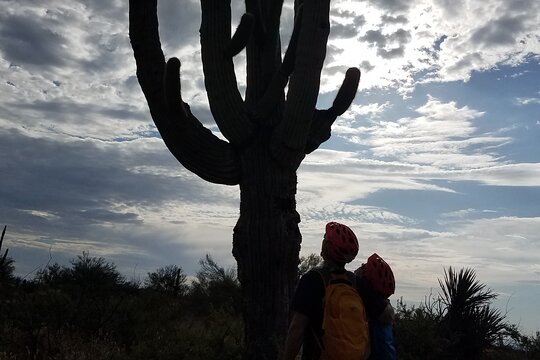 Tour image 7