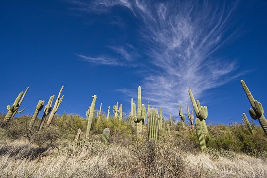 Tour image 11