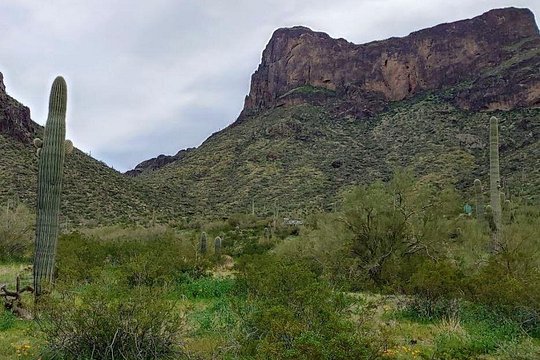 Tour image 5