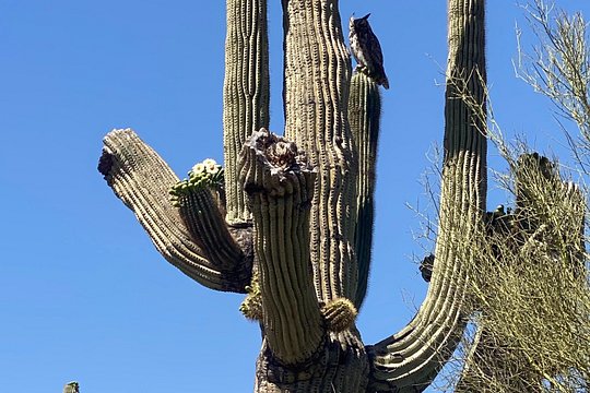 Tour image 6