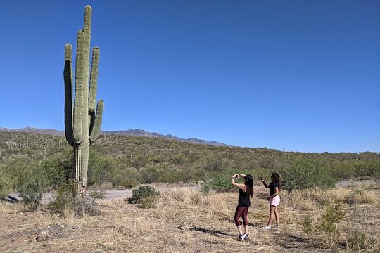Tour image 2
