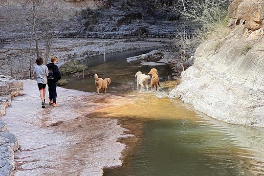 Tour image 5